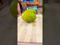 Perfect Mango Cutting Technique | So Satisfying #FreshMango #SatisfyingVideo #FruitLover