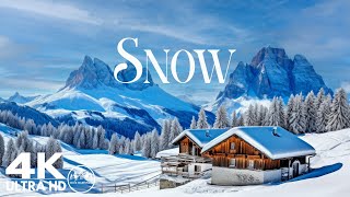SNOW 4K Nature Relaxation Film - Meditation Relaxing Music - Amazing Nature