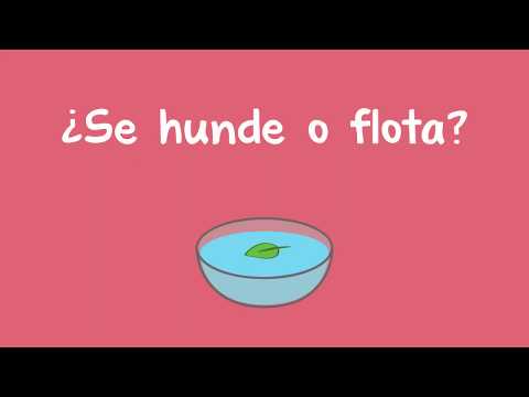 ¿Se hunde o flota? - Does it Sink or Float (Spanish)