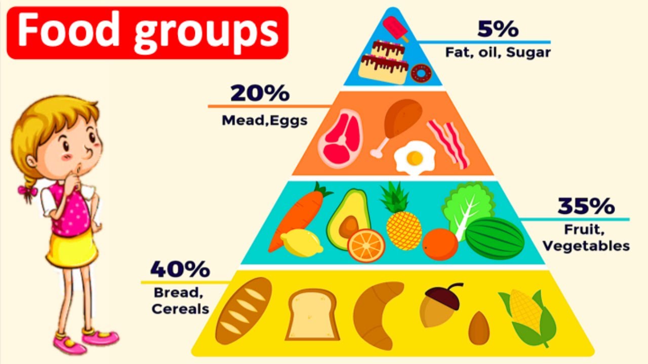 5 Food Groups & Food Group Pyramid 🍅🍌| What Should You Eat? - Youtube