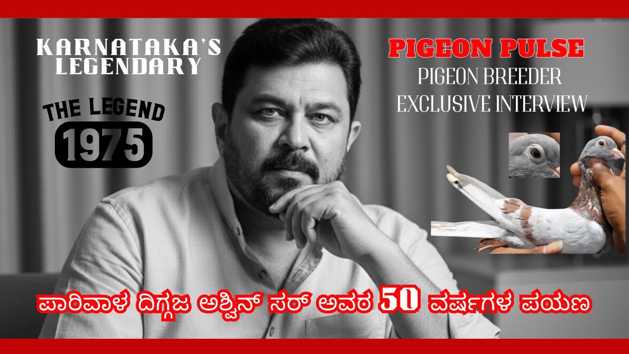 ಅಶ್ವಿನ್ ಸರ್ ಅವರ 40 ವರ್ಷದ ಪಾರಿವಾಳ ಸಾಕಣೆ ಅನುಭವ | Karnataka’s Legendary Pigeon Breeder | Pigeon Pulse