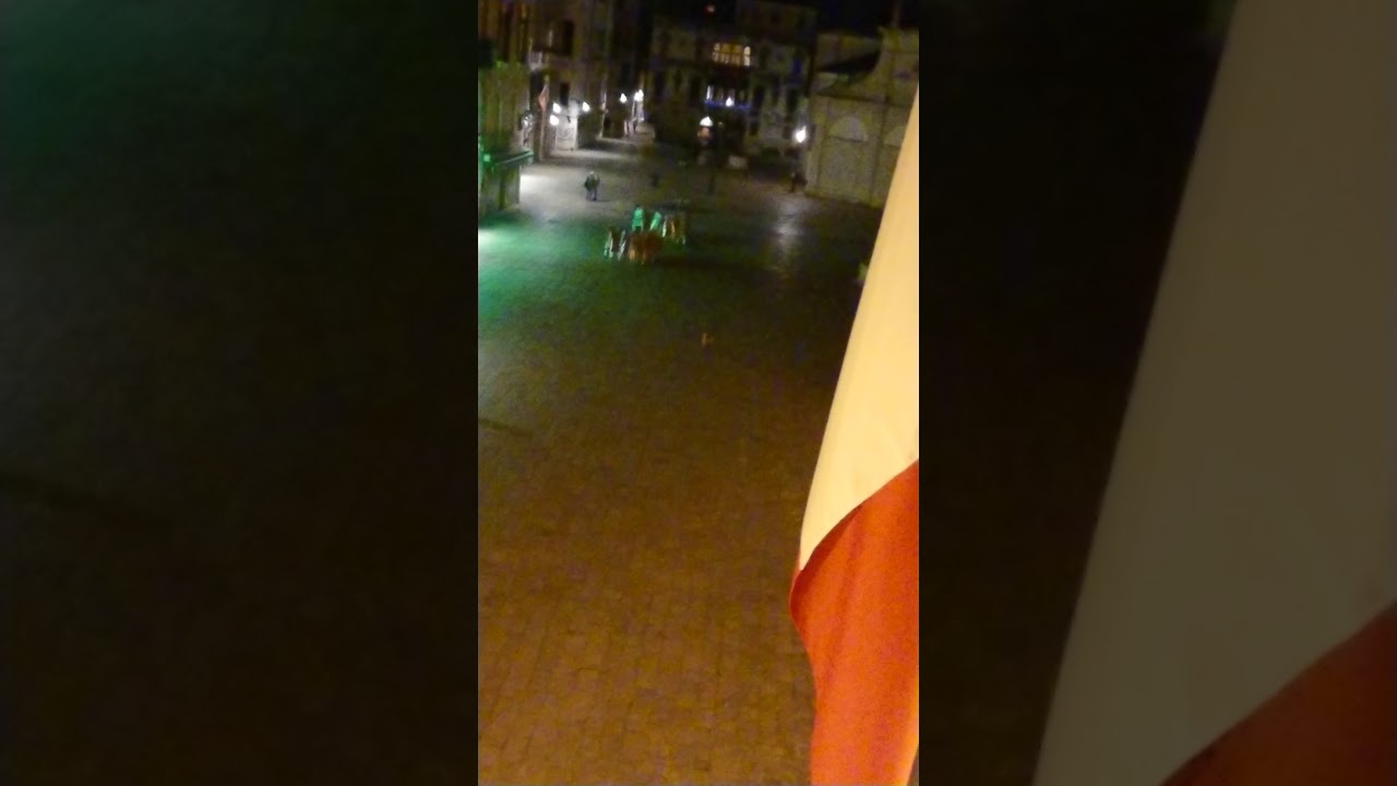 Venice ruzzini Palace