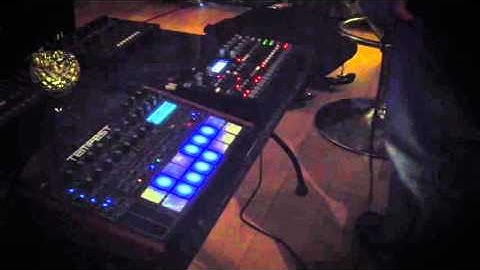 DSI TEMPEST & Analog FOUR - Darkwave Skinwalker