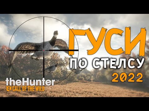 Видео: the hunter call of the wild - Быстрый ФАРМ денег - Как охотиться на Гусей 2022 - Итоги розыгрыша