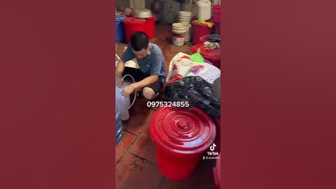 video máy lọc rượu