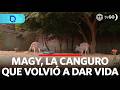 Magy, la canguro que volvió a dar vida | Domingo al Día | Perú