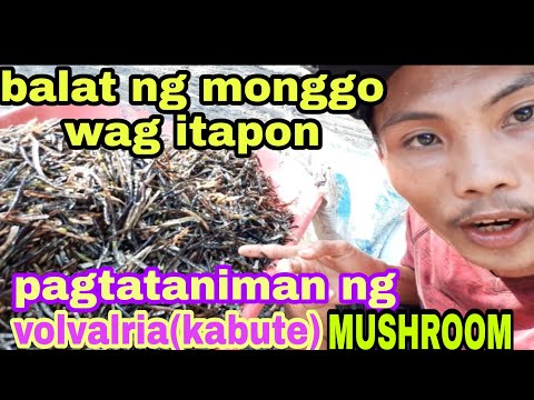 Video: Balat Ng Baboy Sa Buto Na May Mga Kabute