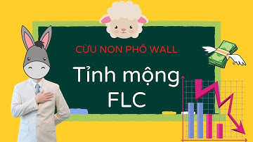 Kinh tế 24h | Phân Tích Hoạt Động Kinh Doanh Và Ban Lãnh Đạo FLC