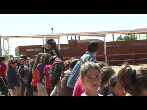 La Federación Hípica suspende la actividad "por falta de recursos"