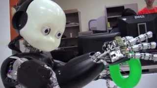 Teaching Bert: iCub Robot Learns About the World