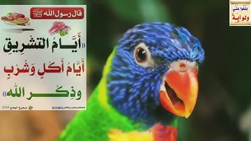 سعود الشريم القرآن الكريم اجمل ما تسمع.. "holy quran