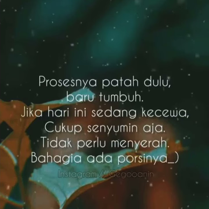PROSESNYA PATAH DULU,BARU TUMBUH || STORY WA SANTUY KEREN 30 DETIK
