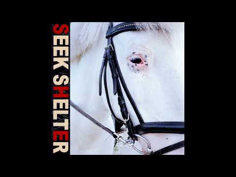 Iceage - Dear Saint Cecilia (Official Audio)
