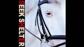 Iceage - Dear Saint Cecilia (Official Audio)