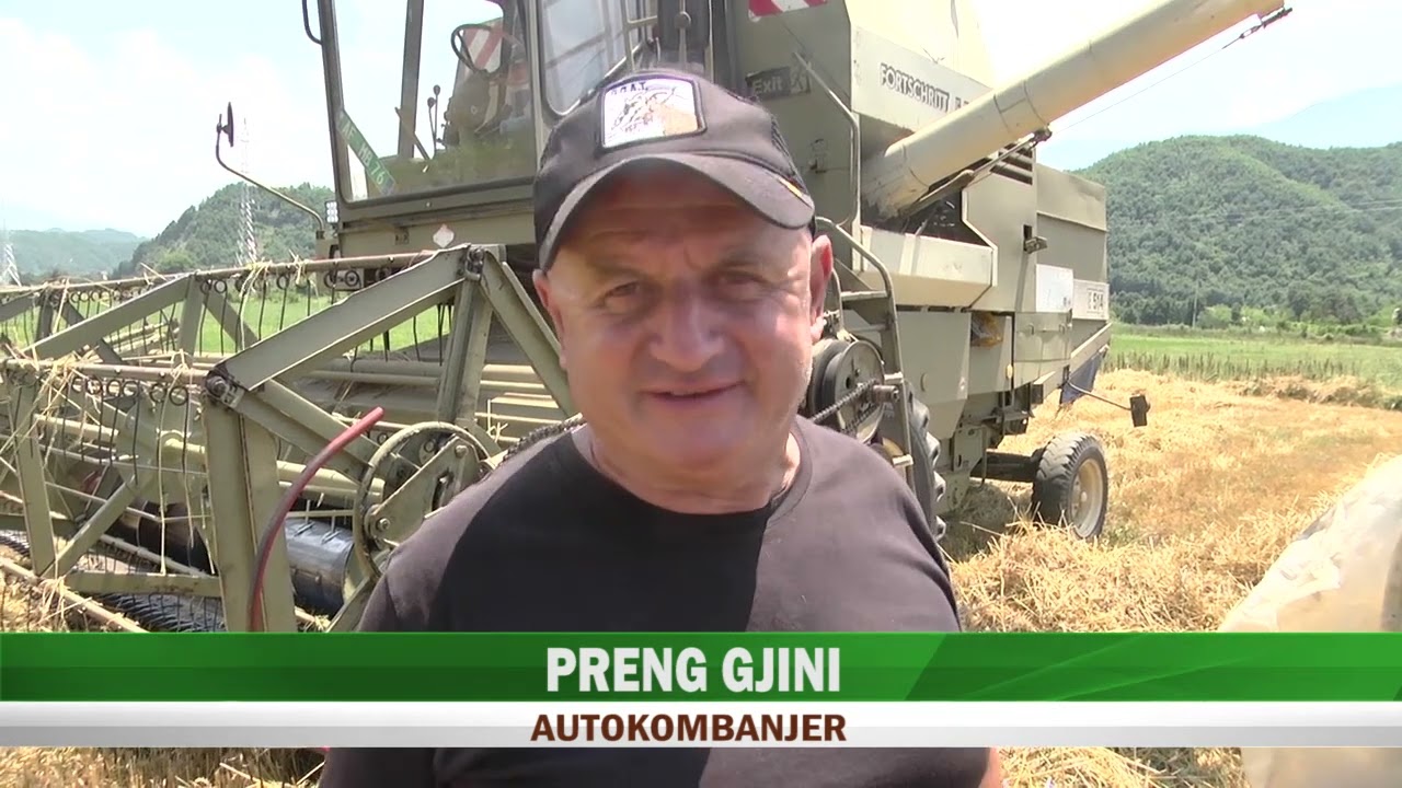 MAT, NIS KORRJA E GRURIT