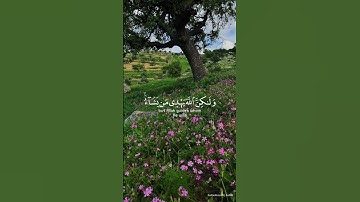 ﴿إِنَّكَ لَا تَهْدِي مَنْ أَحْبَبْتَ﴾  #القرآن_الكريم #ياسر_الدوسري #سورة_القصص