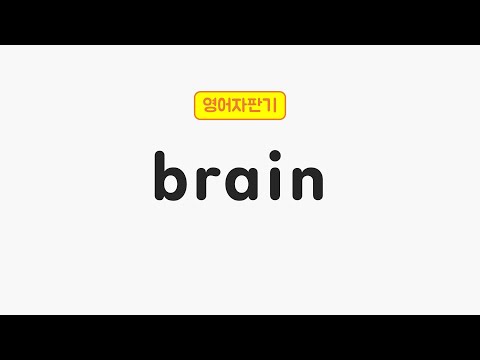 매일 5초 영어 Brain 