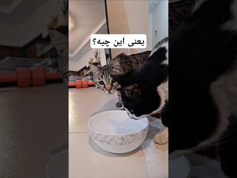چرا انقدر ادا اصول برای آب خوردن  خنده  جالب