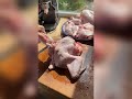Целая курица дешевле, чем кажется! Простая и удобная разделка тушки + расчёты