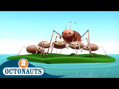 Octonauts - The Sea Skaters | Cartoons for Kids | Underwater Sea Education