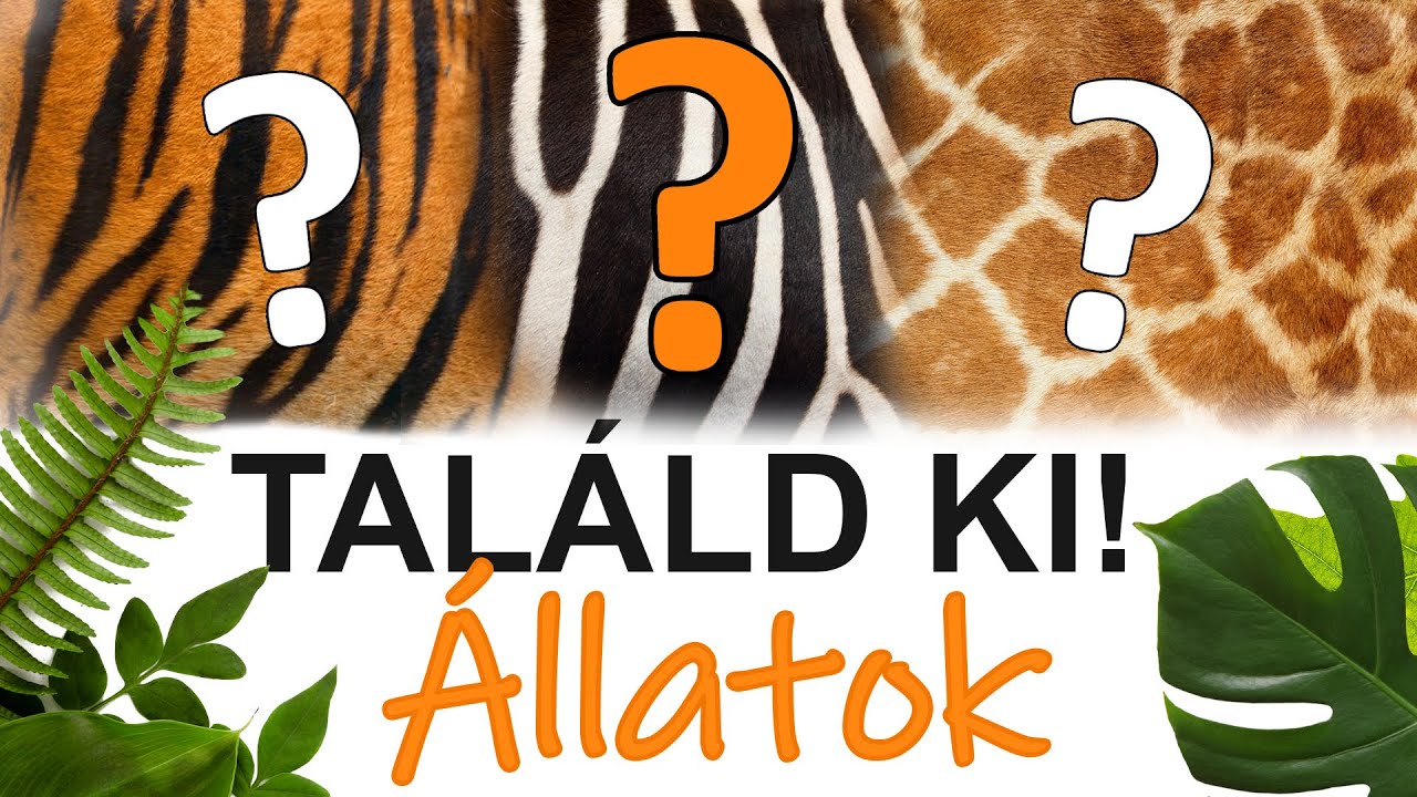 Találd ki az állatot! - kvíz