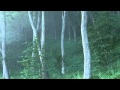 【睡眠用・勉強用BGM】NEW癒しのセッション04_雨バージョン(θ波)