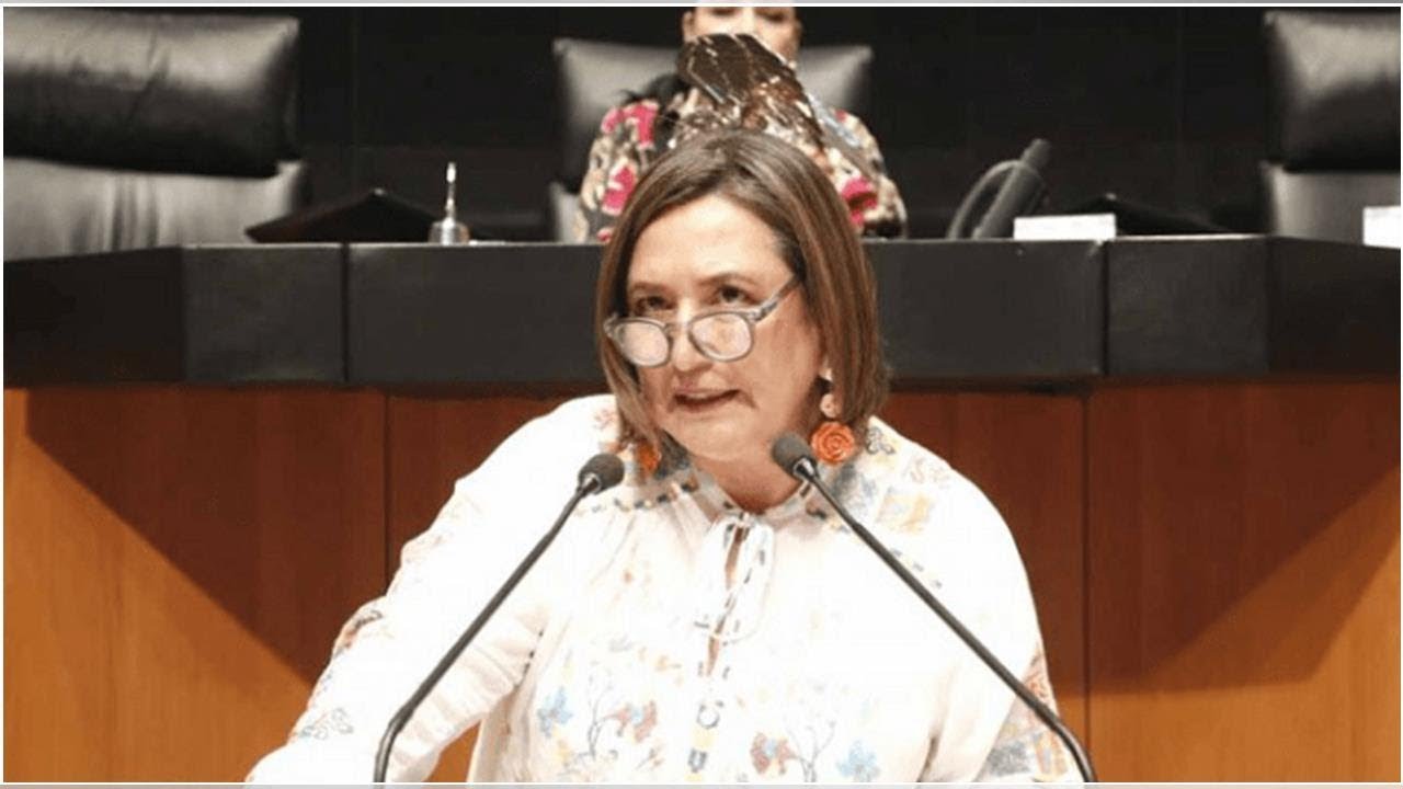 camera iphone 8 plus apk Propone Xóchitl Gálvez afinar procedimiento de selección de comisionados de la CRE