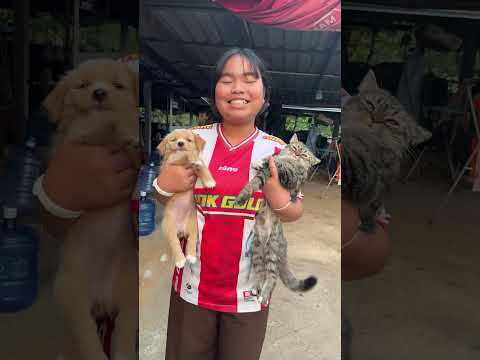 #yimjafamily #funny #ขำขำ น้องจะเลือกนอนกับใคร