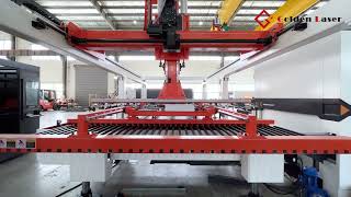 High Efficiency Sheet Metal Cutting: Auto Loader/Unloader Fiber Laser