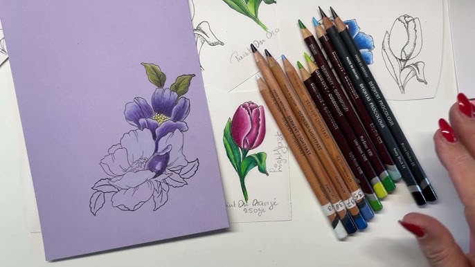 Blending with Derwent Burnisher vs White pencil / Coloring for beginners 