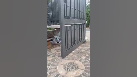 Mô tơ con rùa, cổng tự động bánh lăn. Mô tơ bọ rùa #congtudong