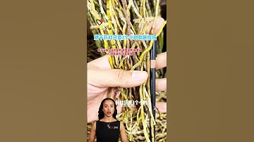 #fcnfm Transform Your Food Production with Reliable and Efficient Drying Technology