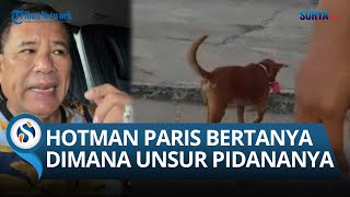 Hotman Paris Siap Bantu Tersangka Pria yang Kalungkan Bendera ke Anjing: Dimana Unsur Pidananya?