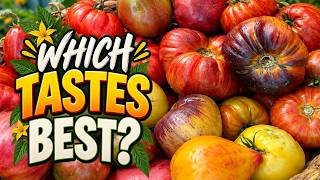 I Grew 11 Unique Tomato Varieties — Here’s How They Taste!