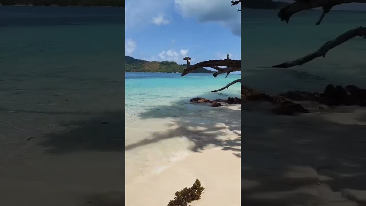 Let's Go Sailing - Eden Island, Seychelles 