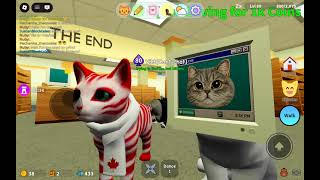 How to get the lost kitty in kitten game! (Read desc) 