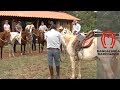 Aula de Equitação no curso da PUC