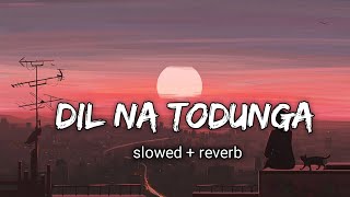 Dil Na Todunga (Female Version) 💖 | Slowed   Reverb | Shambhavi Thakur | Aesthetic Lyrics