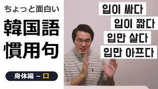 ちょっと面白い韓国語の慣用句｜身体編-口【韓国語講座】