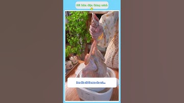 🥣 Siêu Phẩm Nhà Bếp Mẹ Chọn – Nồi Đa Năng Đáng Đồng Tiền Bát Gạo! 🏡  #giadungtienich #xuhuong