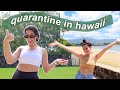 quarantine in hawaii vlog: a day in my life at home