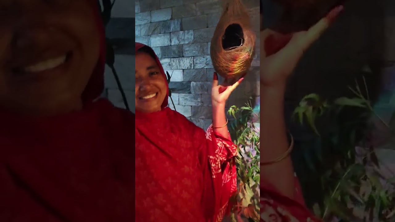 আপু আপনারা কার বাড়িতে গেছেন?তো আজকের ভিডিওতে দেখতে পাবেন আমরা কার বাড়িতে গিয়েছি 