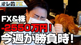 FX、－2550万円！勝負の時が来た！株をガンガン買う！！