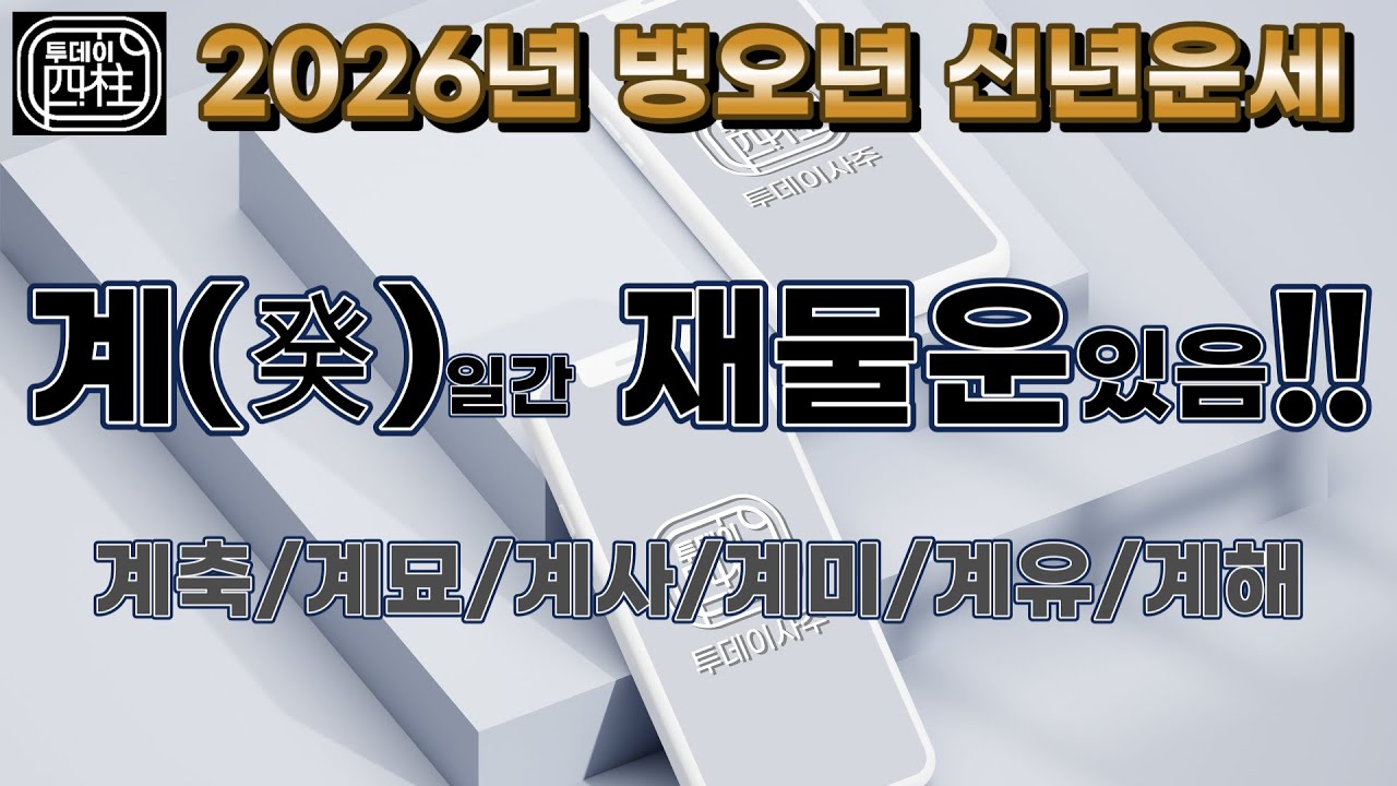 2026년 병오년 신년운세(계일간 재물운 있음!!)