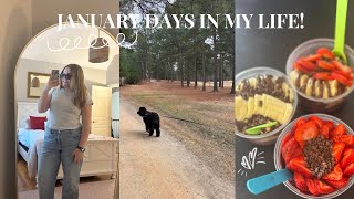 New Year Vlog Morning Routines, Goals, Finding New Hobbies, & More