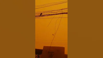 الجو في بغداد الان والعراق عاصفه ترابيه انطوني رئيكم اهل الربو الله يساعدكم 