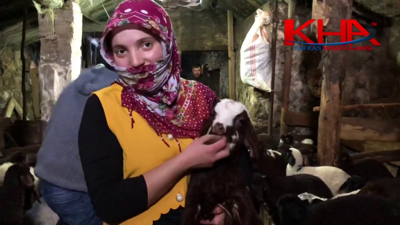 Kızımın kuzusu - Eskigeçit Köyü / Selim KARS