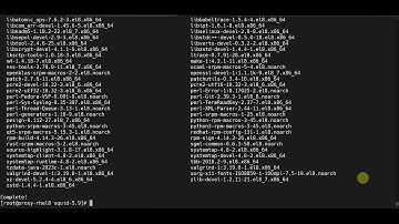 Install Squid 5.9 in Red Hat Enterprise Linux 8