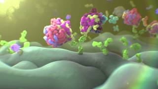 Proteomics Services