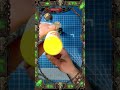 Travelling Man Challenge Box Opening